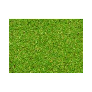 Decor Poudres Fin Vert Clair 200ml.