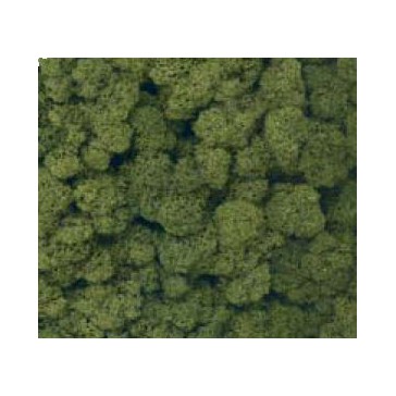 Decor Island Mos Donker Groen   50g
