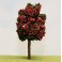 1 Arbre Fruitier Fleuri Rouge 10cm.