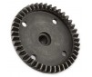 AR310441 Diff Gear Main 43T Straight Typhon