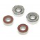 DISC.. HD Pinion Bearing Set: 8X/8XE