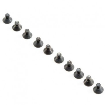 M2.5 x 4mm FH Screws (10)