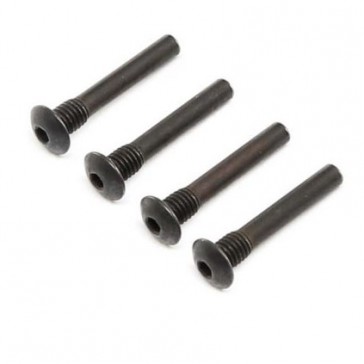 Hinge Pin Screw, Outer (4): Super Baja Rey