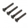 Hinge Pin Screw, Outer (4): Super Baja Rey