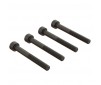 Cap Head Screw M4x35mm (4)