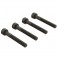 Cap Head Screw M4x30mm (4)