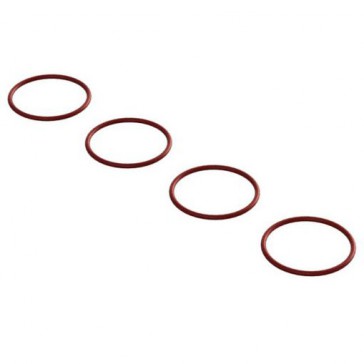 O-Ring 19x1.5mm (4)