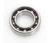 Z.21R - Rear Ball Bearing