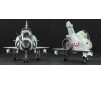 MIRAGE 2000 + Frech Decals 1/48