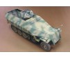 Sd.Kfz.251-21 Ausf.D. 1/35