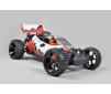 Off-Road Buggy WB 535, 2WD, RTR,  coloured body