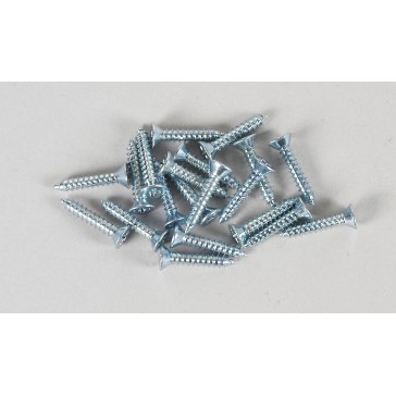 Vis 2.9x16mm (20p)