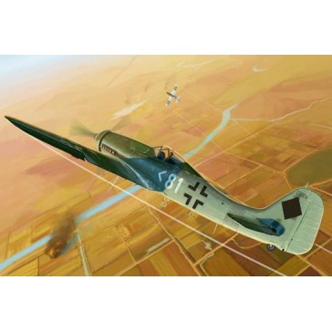 Focke-Wulf FW190D-11 1/48