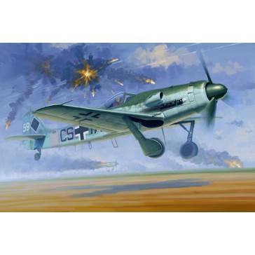 Focke-Wulf FW190D-12 1/48