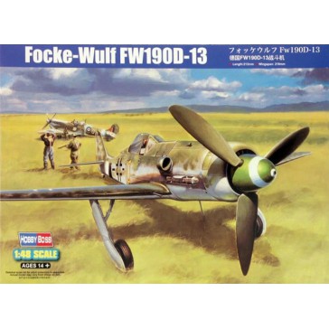 Focke-Wulf FW190D-13 1/48