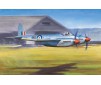 De Havilland Hornet F1 1/48