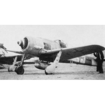 Luftwaffe FW109A-6/8 1/24