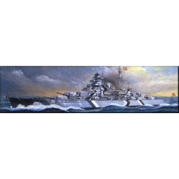 BATTLESHIP BISMARCK (MTR) 1/800