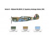 P-40 E/K KITTYHAWK 1/48