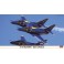 DISC.. 1/48 A-4F SKYHAWK BLUE ANGELS