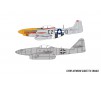 MESSERSCHMITT ME262 & P-51D MUSTANG DOGFIGHT (10/20) *