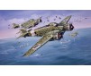 SAVOIA-MARCHETTI SM79 (3/20) *