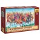 DISC.. MACEDONIAN CAVALRY 1:72 **