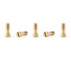 METRIC SCREWS M2X5MM BRASS 5X