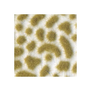 Scenery - Wild Tuft - Beige (Medium)