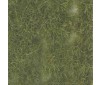 Scenery - Wild Tuft - Dry Green (Extra large)