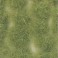 Scenery - Wild Tuft - Light Green (Extra large)