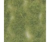 Scenery - Wild Tuft - Light Green (Extra large)