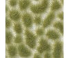 Scenery - Wild Tuft - Light Green (Large)