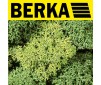 Lichens vert clair 1 kg.