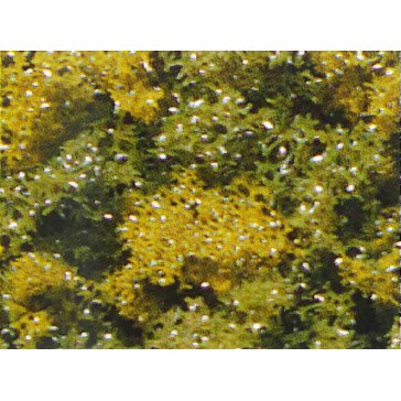 Foliage vert jaune épais