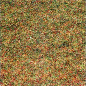Gazon automne (100 gr.)