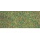 Tapis vert print. (180x120cm)