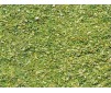Vert clair (85 gr.)