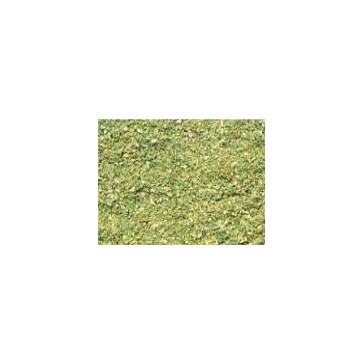 Vert clair (40 gr.)