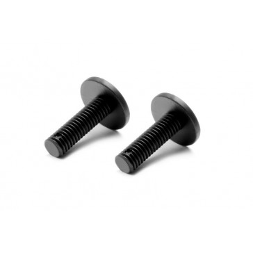 COMPOSITE REAR BODY HOLDER SCREW - MEDIUM (2)