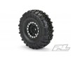 INTERCO TSL SX S.SWAMP XL 1.9" G8 TYRES ON IMPULSE