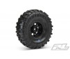 INTERCO TSL SX S.SWAMP XL 1.9" G8 TYRES ON IMPULSE