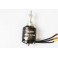 brushless kv300 motor