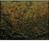 Combo Pigment & Color Mud