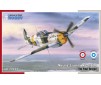 Morane Saulnier MS-410C.1 "The Final Version"  1:72