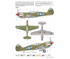 P-40N Warhawk   1:72