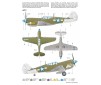 P-40N Warhawk   1:72