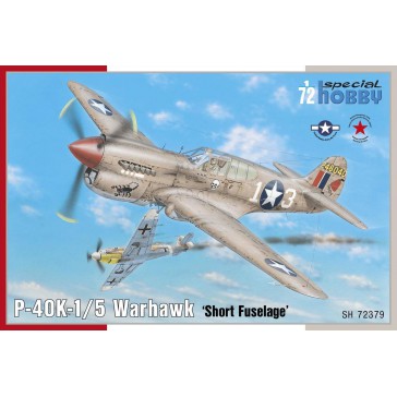 P-40K-1/5 Warhawk   1:72