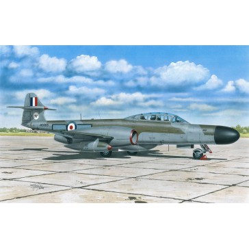 A.W. Meteor NF MK.12   1:72