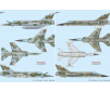 Mirage F.1 Duo Pack & Book   1:72